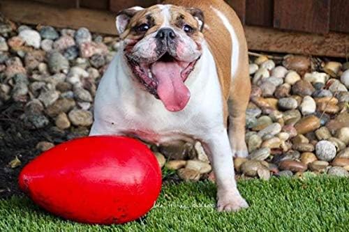 Jolly Pets Jolly Egg Dog Toy, 12 Inches/Large, Red