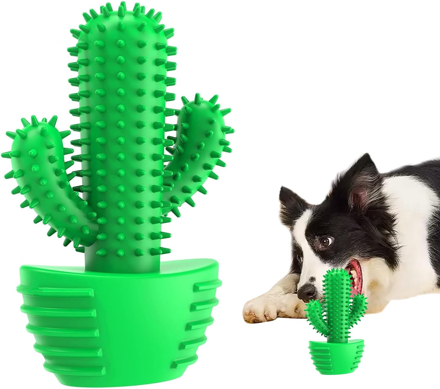 Innovative Dog Toothbrush Chew Toy – Cactus Design Dental Cleaning Stick Dogs