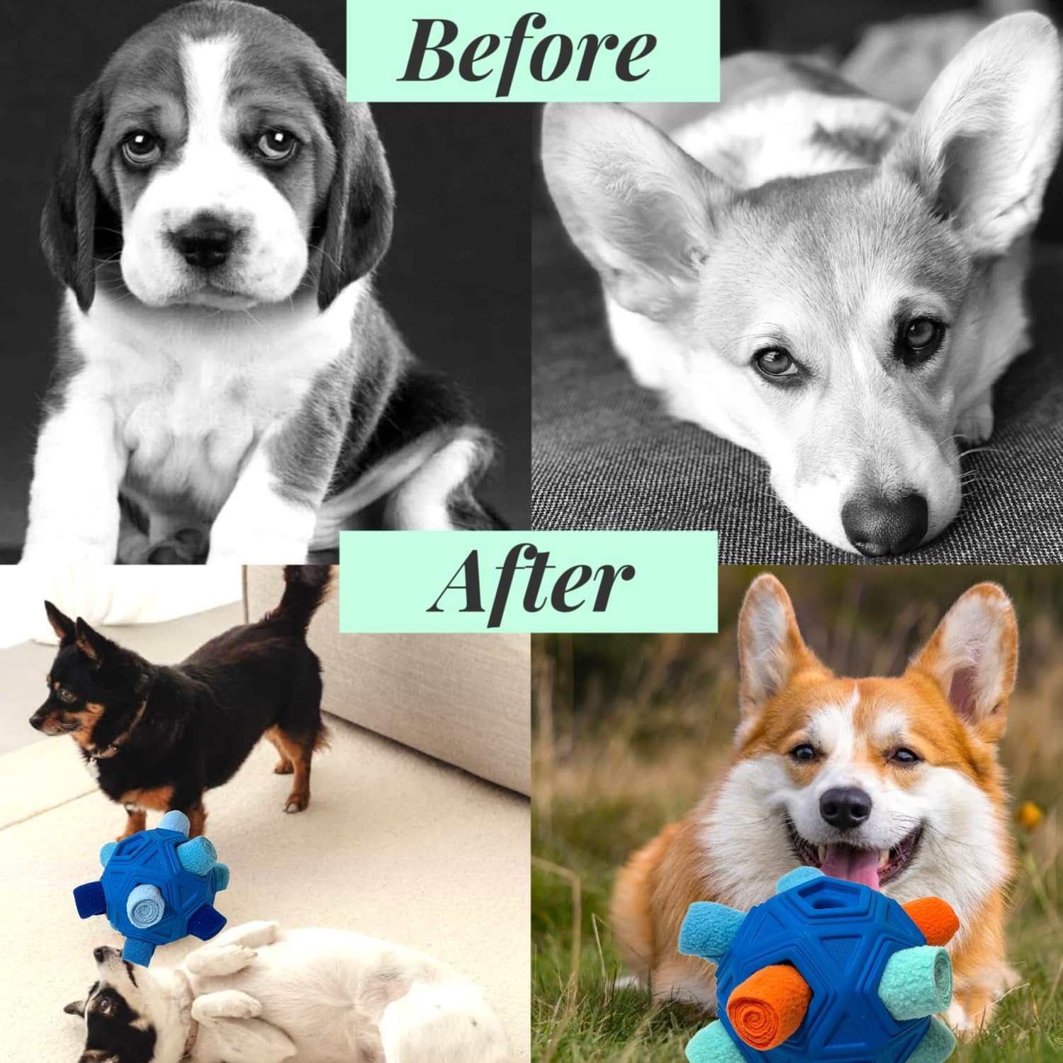 Snuffle Ball for Dogs – Unbreakable Interactive Foraging Toy Treat Dispenser