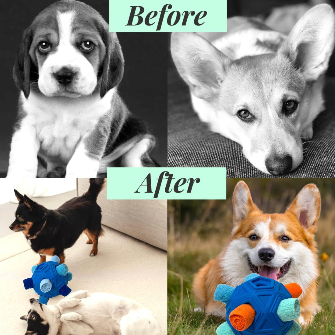 Snuffle Ball for Dogs – Unbreakable Interactive Foraging Toy Treat Dispenser