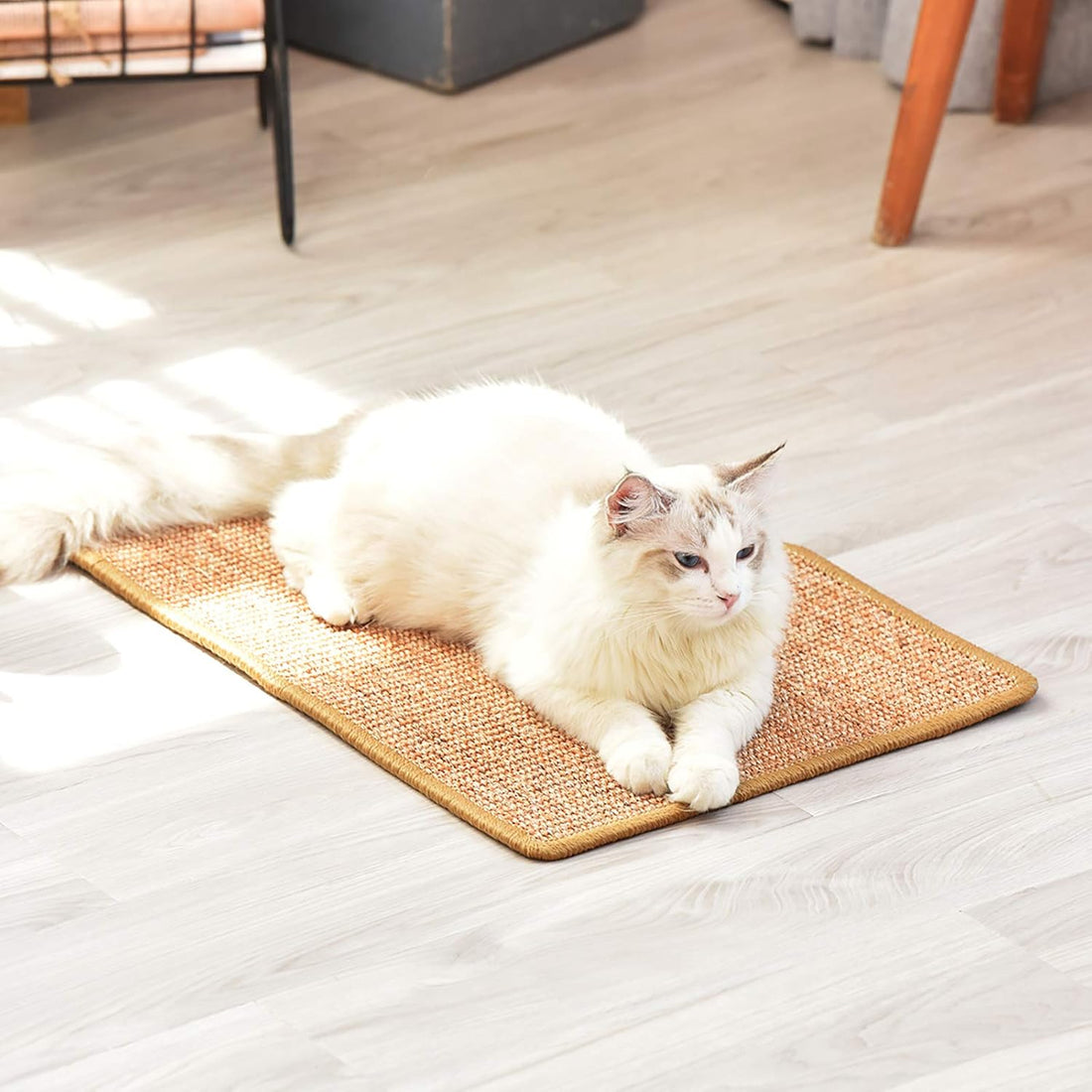 Cat Scratcher Mat – 23.6 x 15.7 Inch Natural Sisal Scratching  Floor Mat