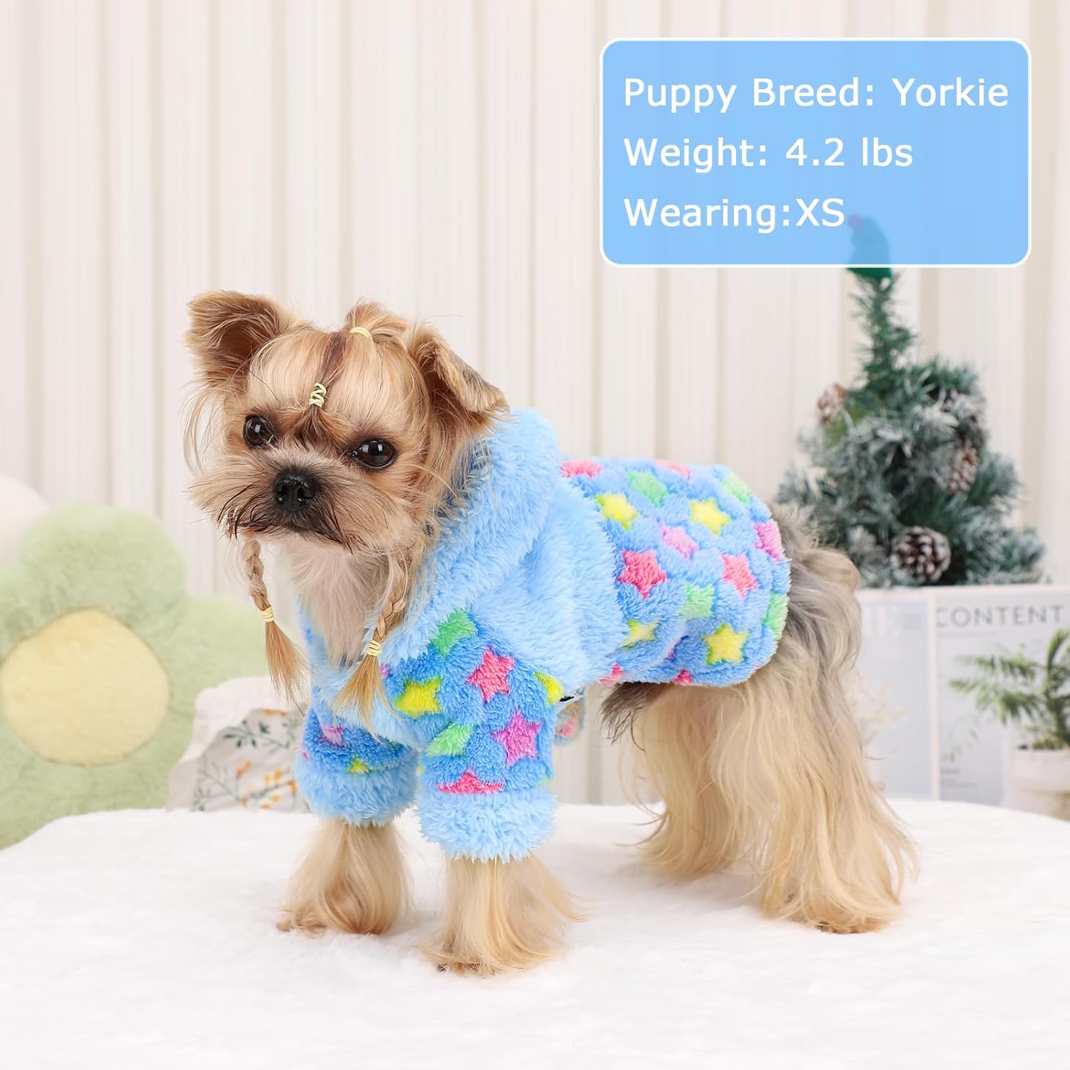 Dog Hoodie Sweater – Winter Pet Clothes for Small Dogs Boy & Girl Sweater