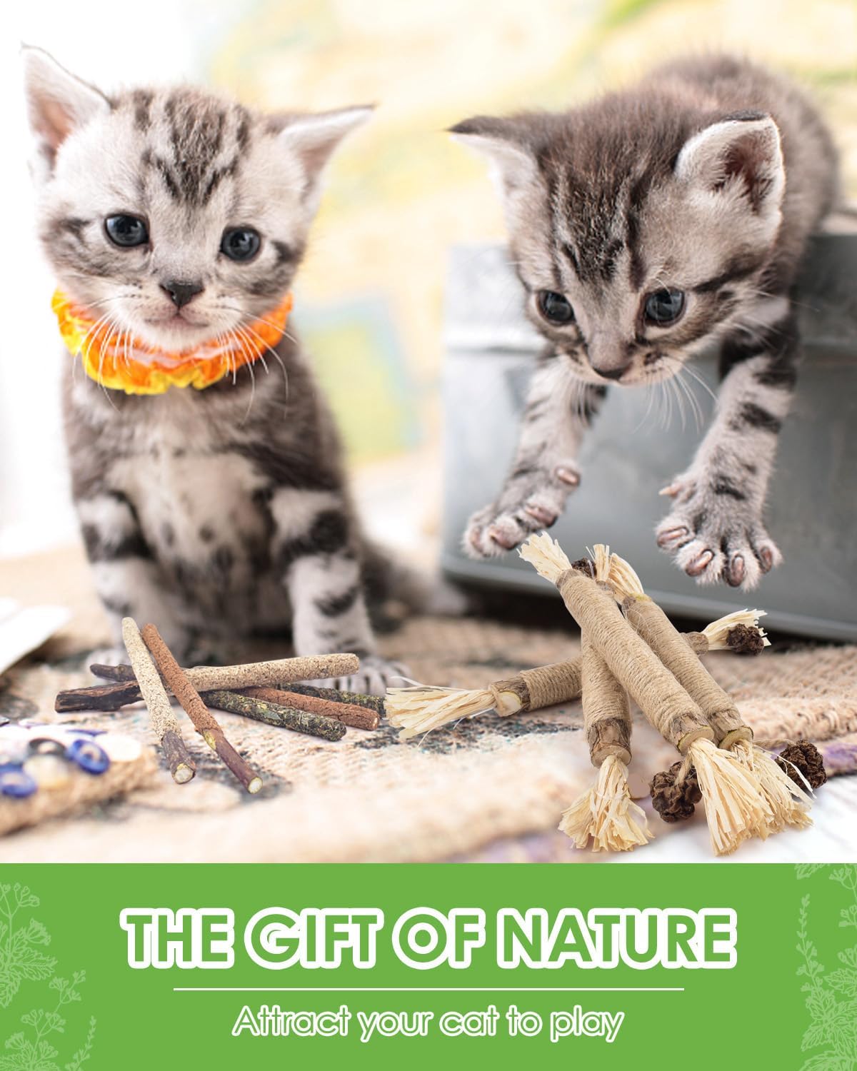 Silvervine Sticks (10 Pack) – Natural Catnip Chew Toys for Kittens