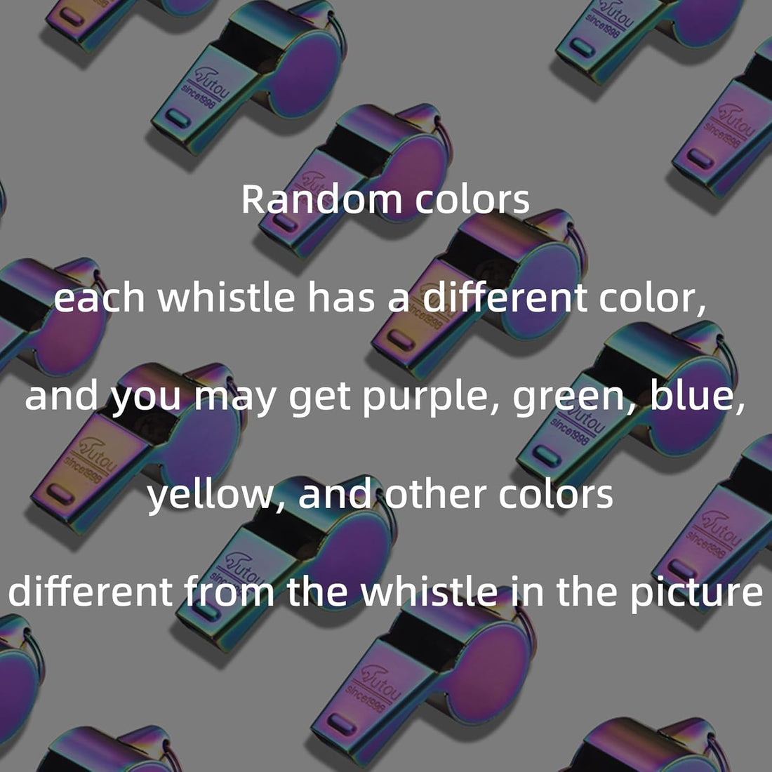 Stainless Steel Coach Whistle with Lanyard – Loud & Durable