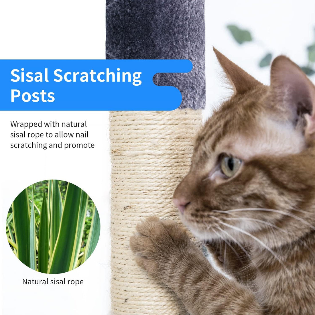 36-Inch Cat Tree for Indoor Cats – Multi-Level Cat Tower with Posts