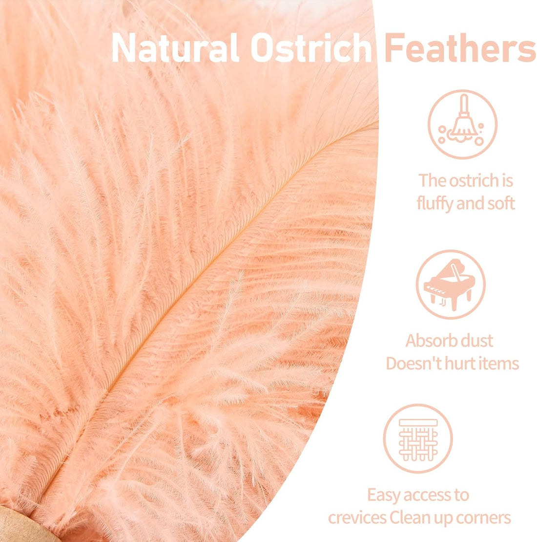 12 Inch Feather Duster – Fluffy Natural Ostrich Feathers with Wooden Handle