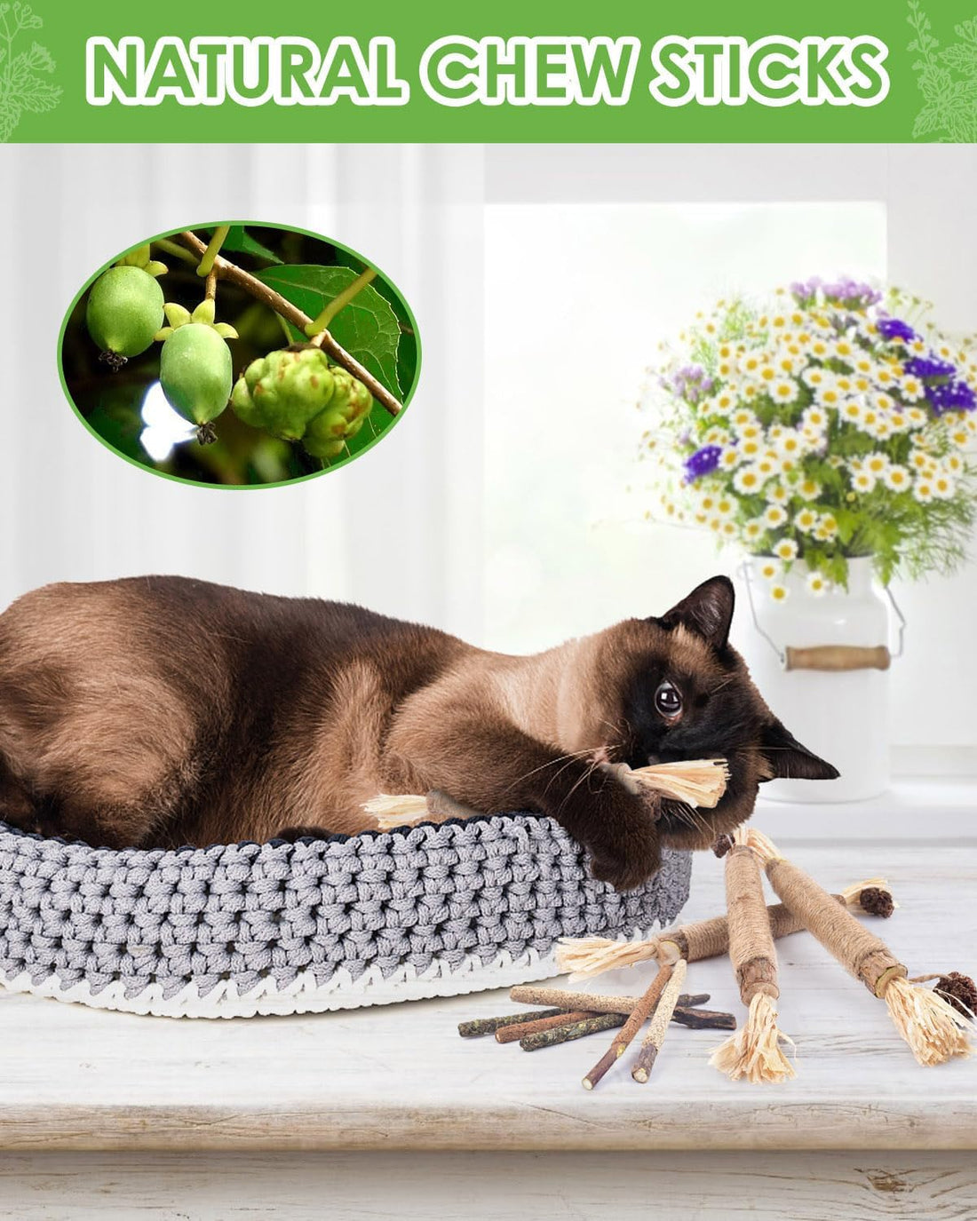 Silvervine Sticks (10 Pack) – Natural Catnip Chew Toys for Kittens