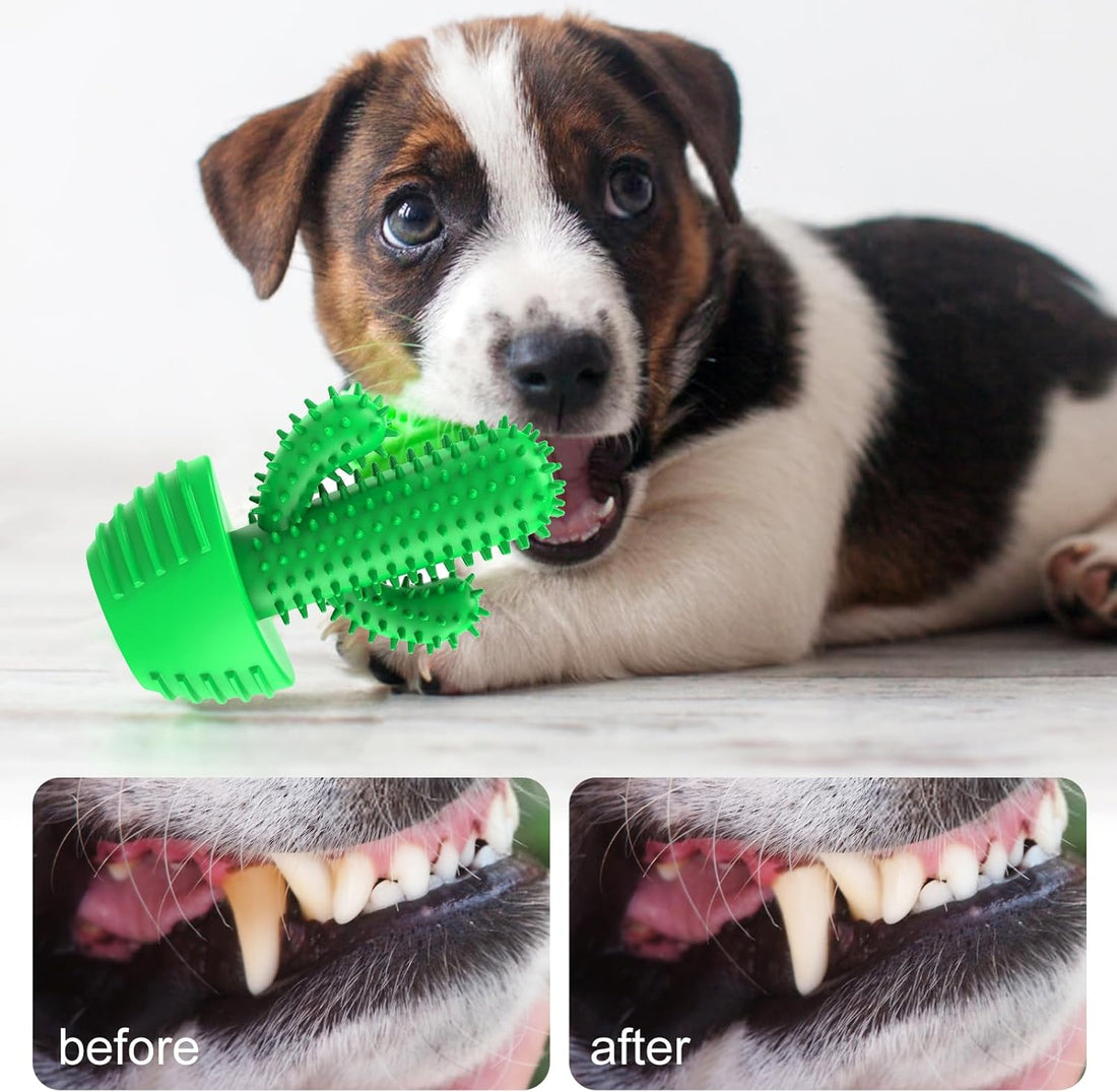 Innovative Dog Toothbrush Chew Toy – Cactus Design Dental Cleaning Stick Dogs
