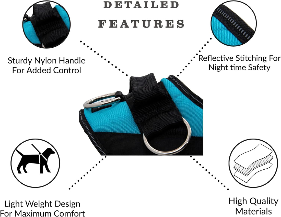 Essential No-Pull Dog Harness with 3 Clips, Reflective & Adjustable