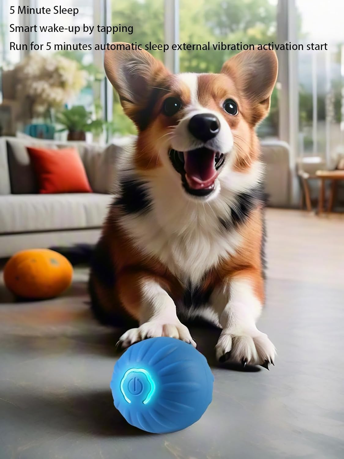 Interactive LED Dog Ball (2 inch) – USB Rechargeable
