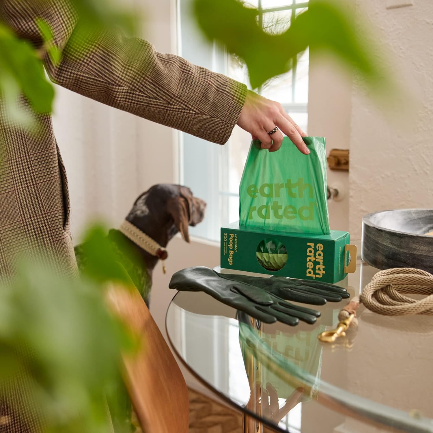 Earth Rated Dog Poop Bags – Thick & Durable Grab and Go Single Roll