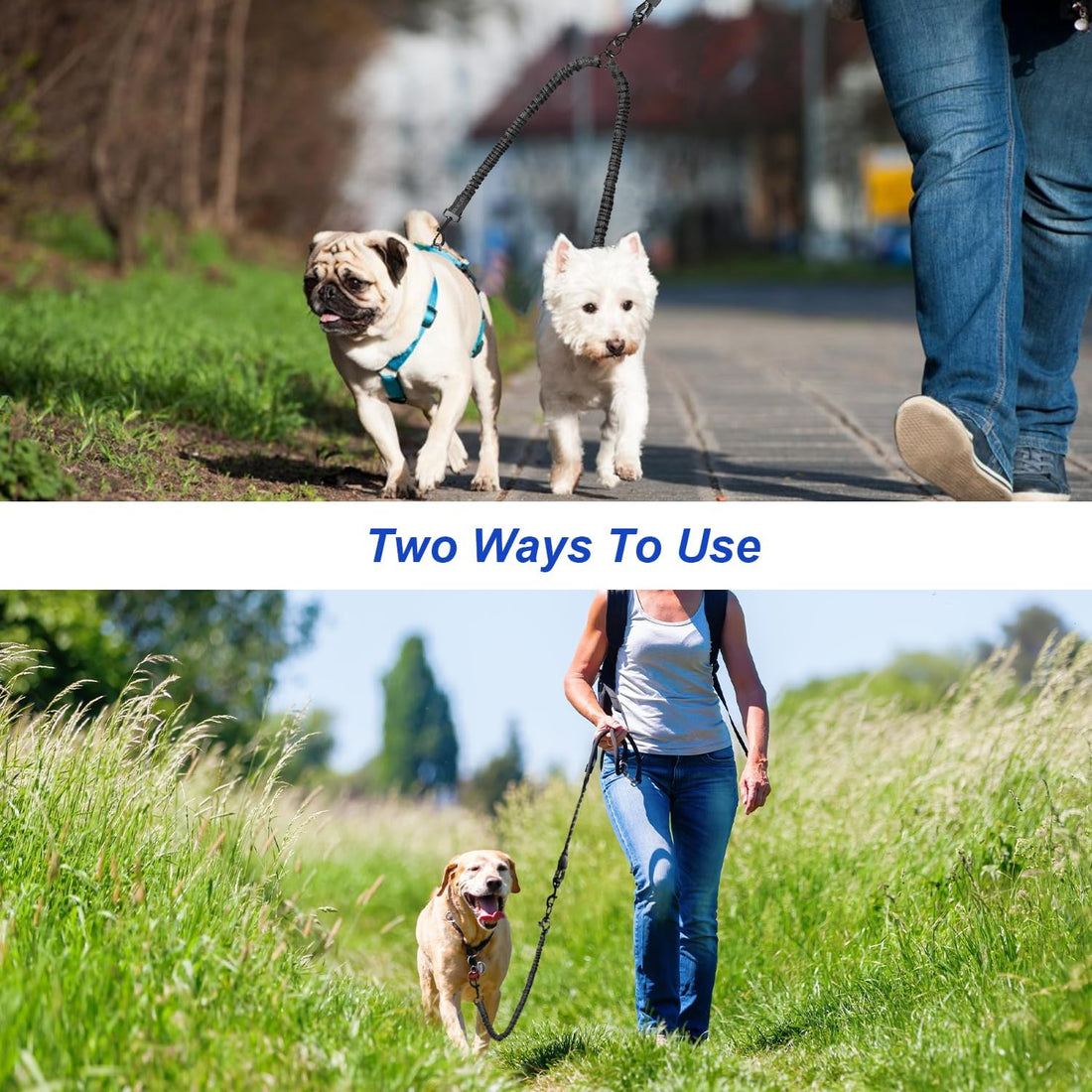 Double Dog Leash – Dual Tangle-Free Leash with 360° Swivel Shock