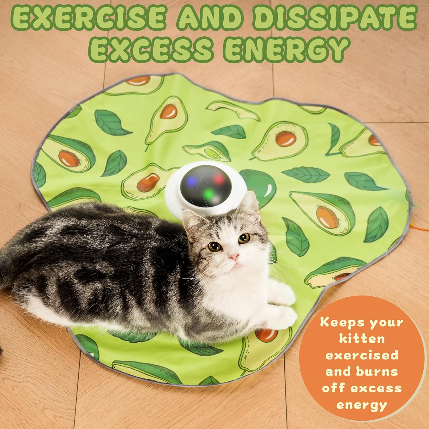 Interactive Cat Toy – Automatic Hide and Seek Toy with Motion-Activated