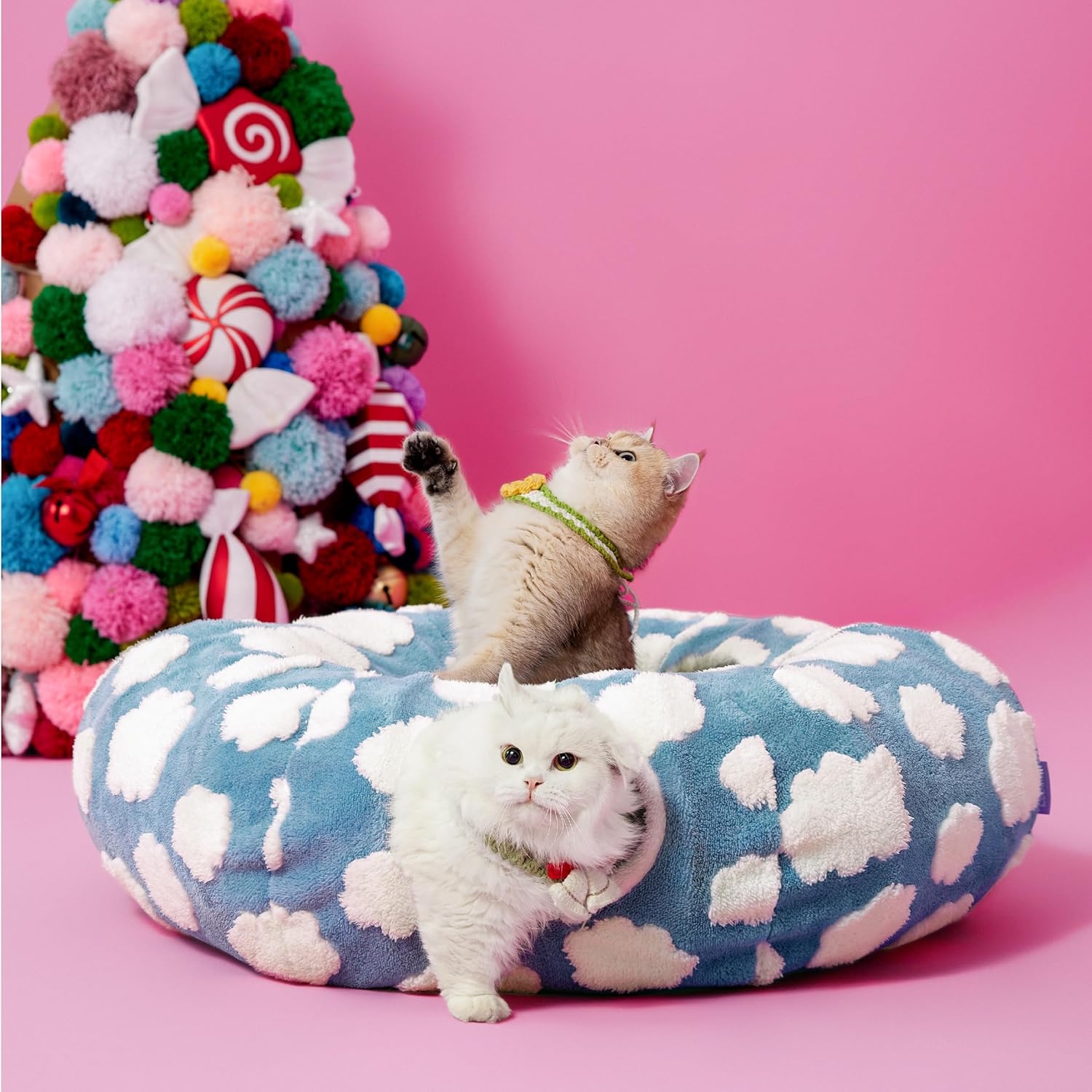 Cat Tunnel Bed for Indoor Cats – Cute Donut Tunnel