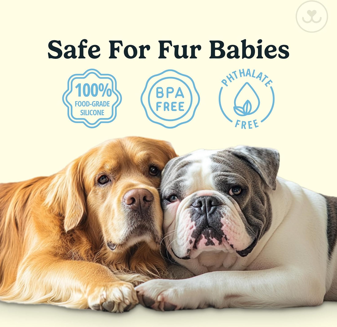 Jasper Dog Toothbrush – Finger & Cat Toothbrush Kit for Small & Large Pets