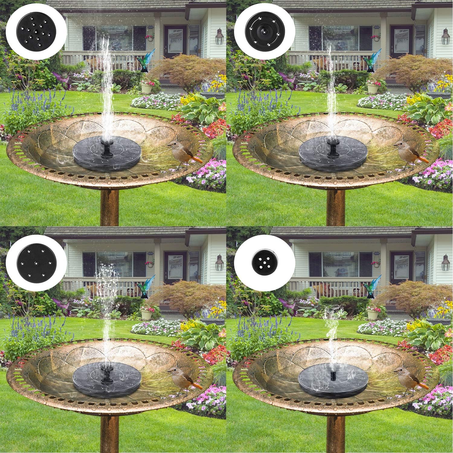 Solar Bird Bath Fountain Pump – 1W Solar Powered Floating Pump with 6 Nozzles