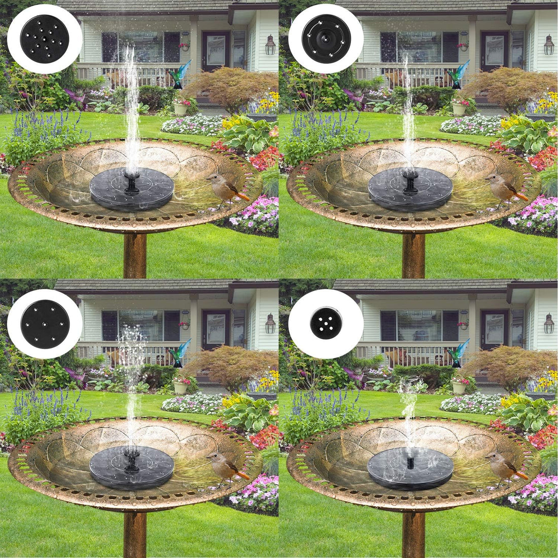 Solar Bird Bath Fountain Pump – 1W Solar Powered Floating Pump with 6 Nozzles