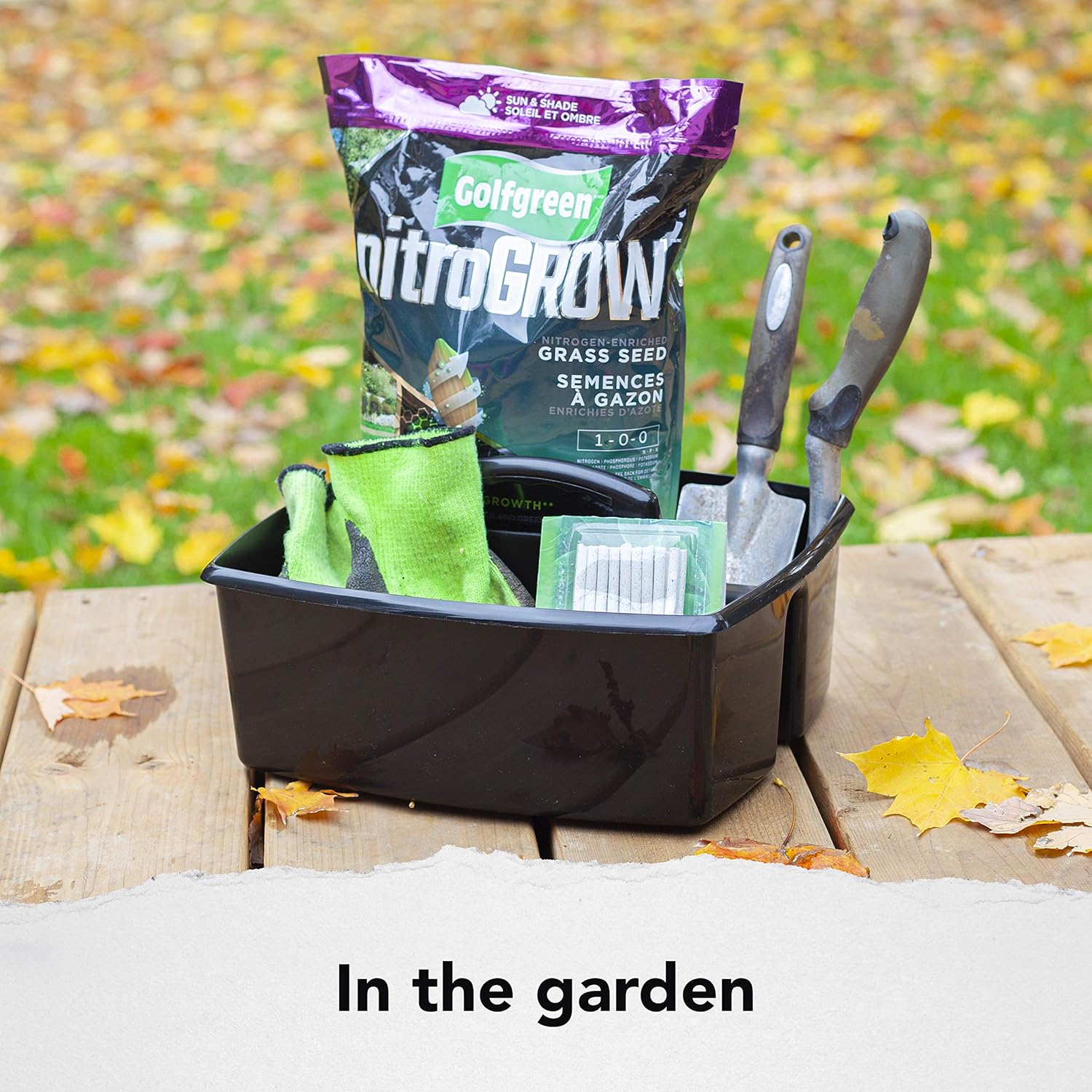 Storex 2-Compartment Large Caddy – Multipurpose Classroom Organizer