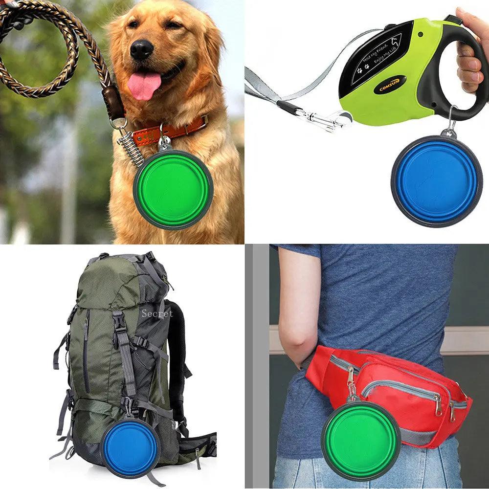 Collapsible Silicone Pet Bowl - Portable Travel Dish with Carabiner