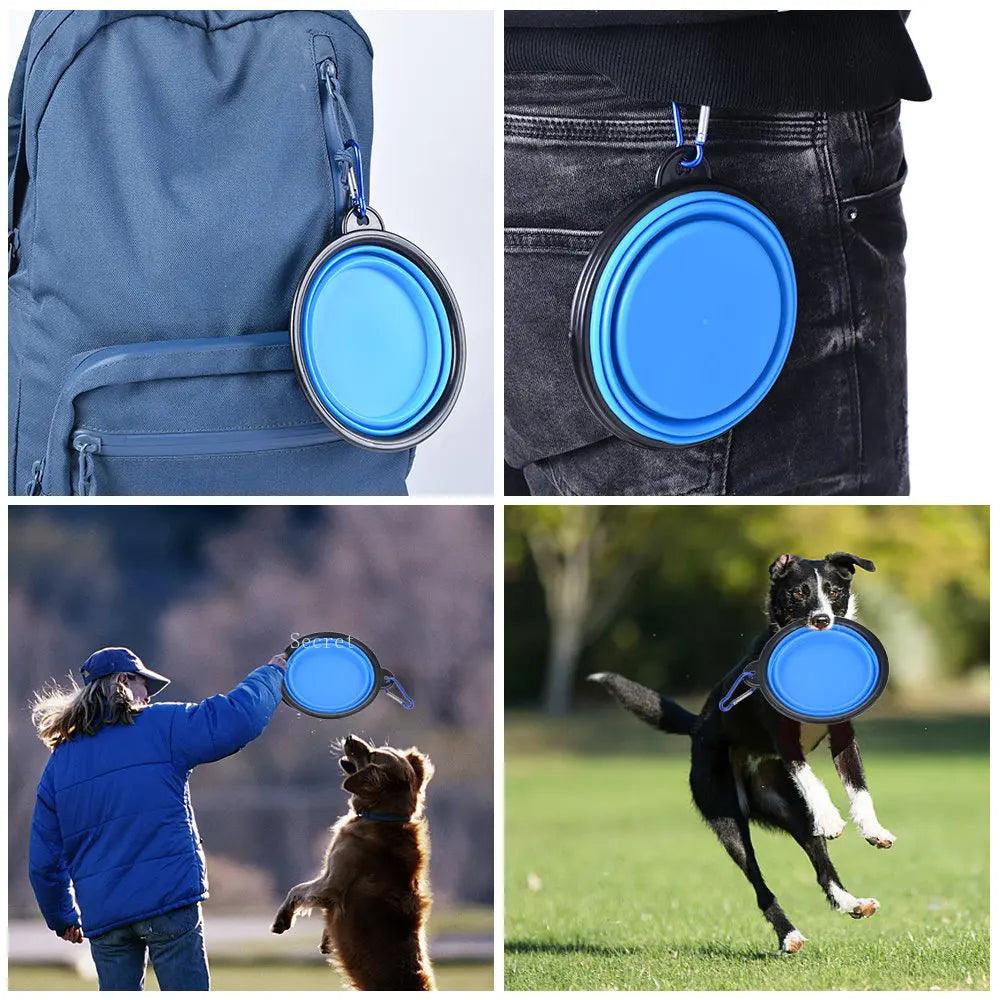 Collapsible Silicone Pet Bowl - Portable Travel Dish with Carabiner