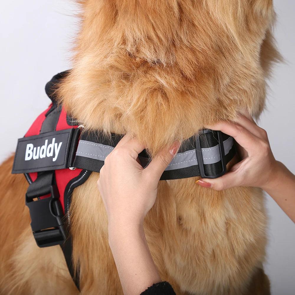 Personalized Dog Harness ID: No Pull Reflective Vest - Heart Crafted Gifts